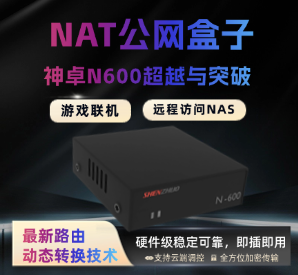 NAT盒子N600